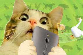 FRIDAY专栏 | 被憋疯的职场人，养起了猪牛羊鱼鸟...