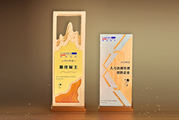 美狮贵宾会国际一举斩获“2024年度中国区最佳雇主”等多项大奖